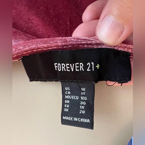 Forever 21+ Velvet Dress - Picture 6 of 8